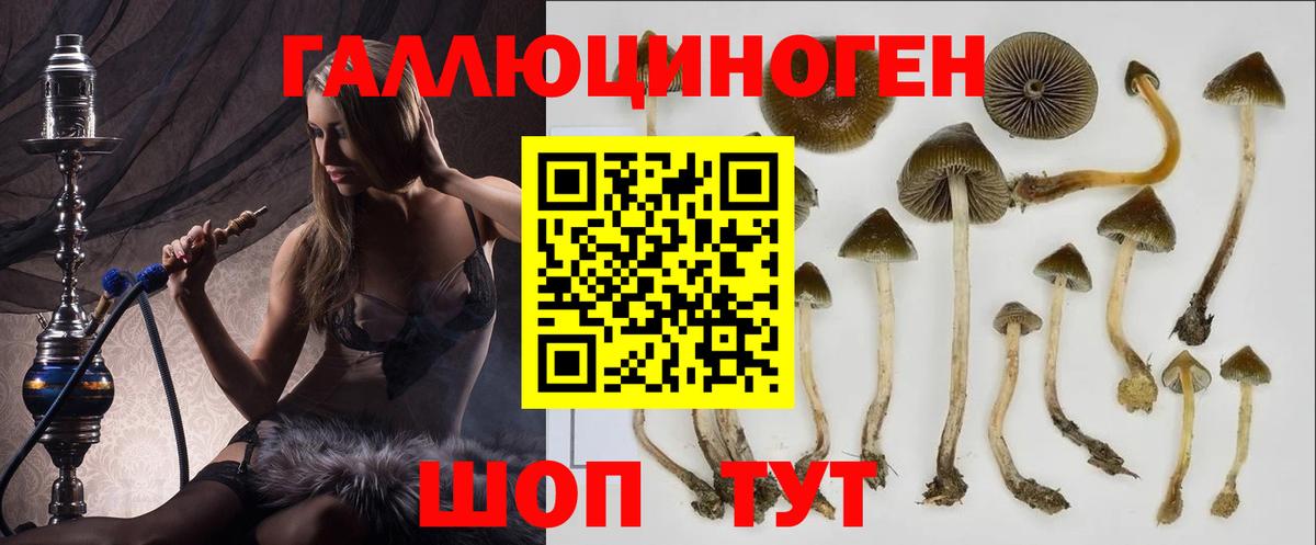 Псилоцибиновые грибы MAGIC MUSHROOMS  Вход с VPN  Верхняя Салда 